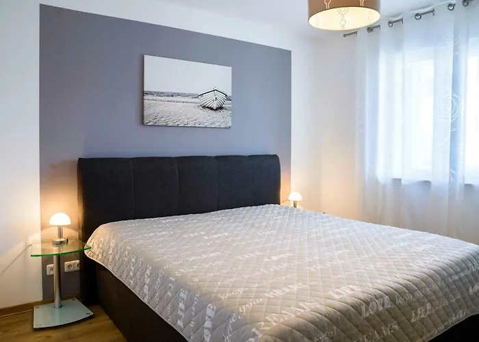 Meeresrauschen Silbermoewe