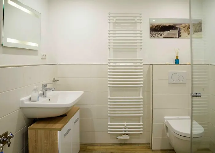 Meeresrauschen Silbermoewe بيلزيرهاكين